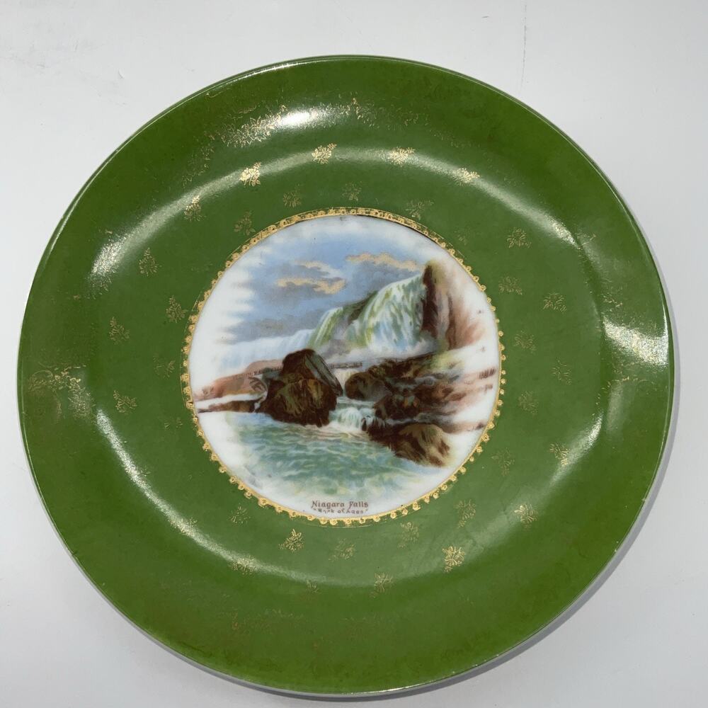 Gorgeous VICTORIA CARLSBAD AUSTRIA Souvenir Plate NIAGARA FALLS